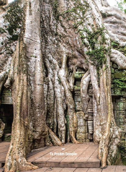 Ta Prohn Temple