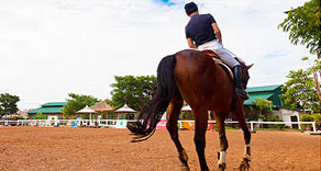 Horse Riding