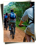 Chi Phat Community-Based Ecotourism Site - gallery03