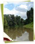 Side stream of Mekong at Preah Rumkel