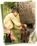 Tmatboey Community-Based Ecotourism Site - gallery04